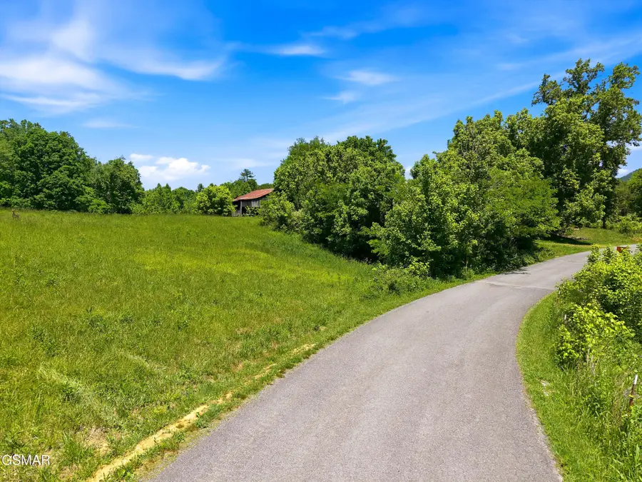 15 Licklog Hollow Road, Sevierville, TN 37876 - #2