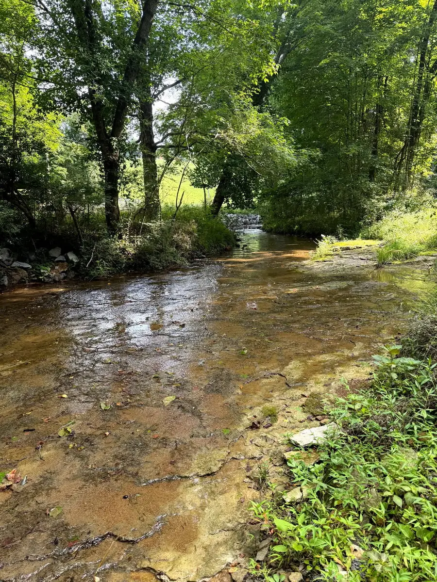 0 Wiley Branch Road, Dickson, TN 37055 - #2