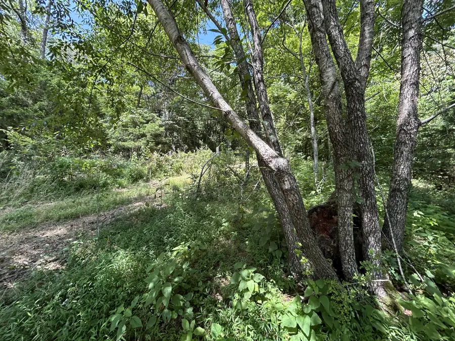 1 New Hope Cemetery Rd, Pulaski, TN 38478 - #2
