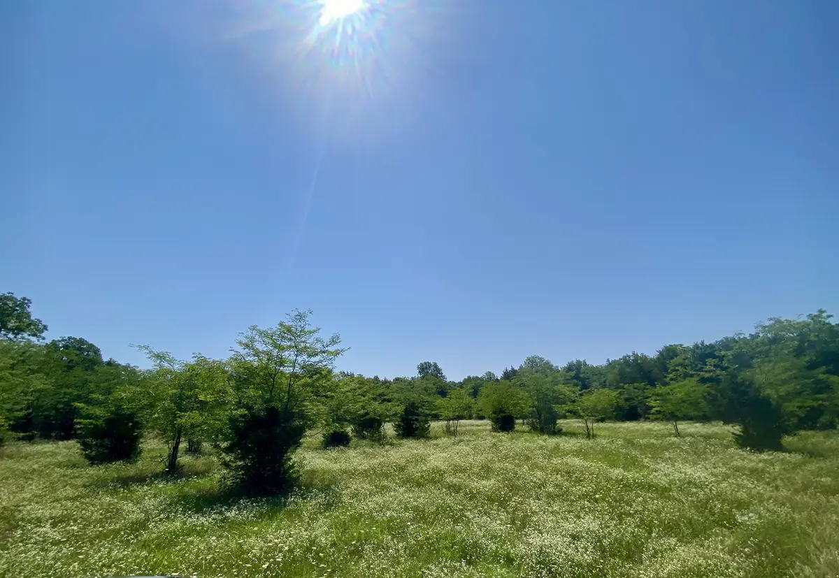 0 Pyles Rd, Chapel Hill, TN 37034 - #1