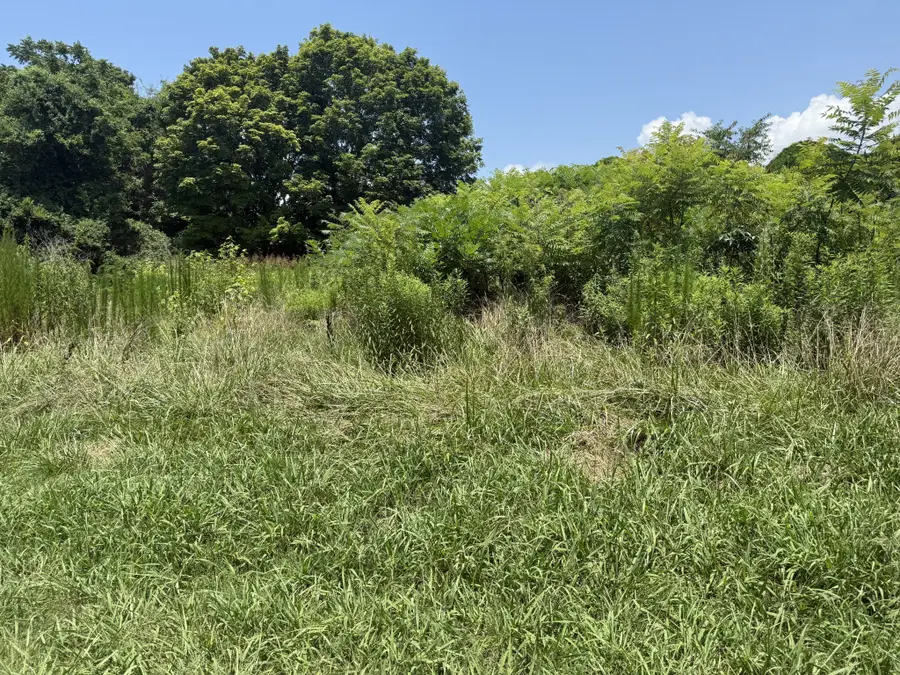 60 Lees Ford Ln, Winchester, TN 37398 - #2