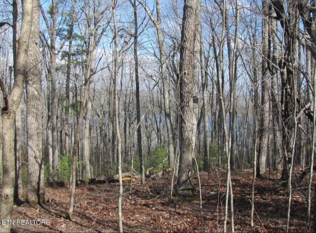 0 Markham Lane, Crossville, TN 38558 - #1