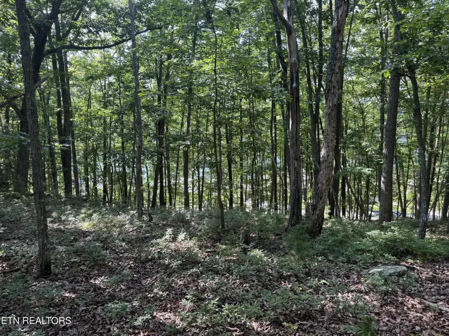 0 Markham Lane, Crossville, TN 38558 - #3