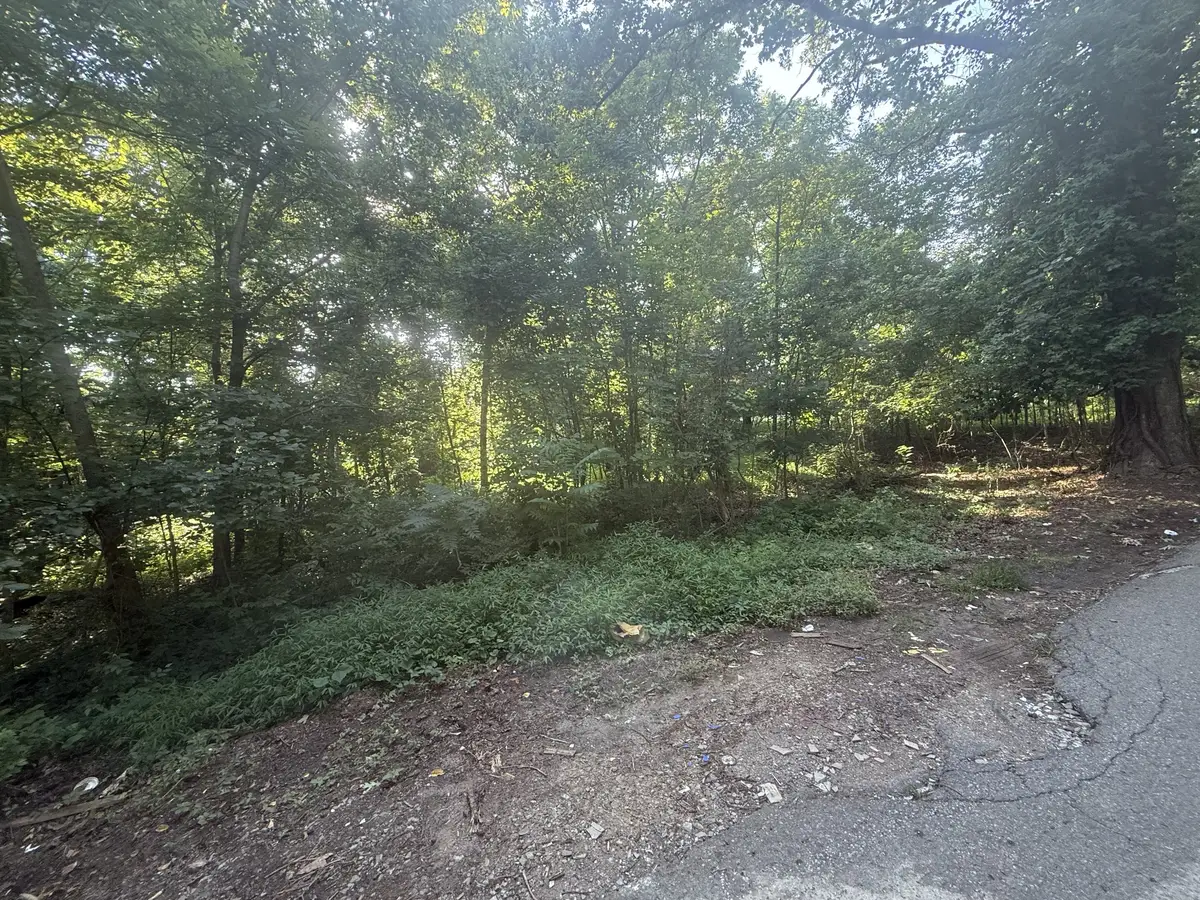 0 Gupton Ln, Clarksville, TN 37040 - #1