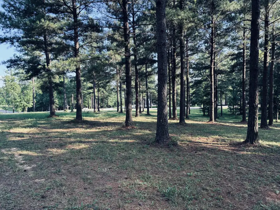 1255 Raulston Falls Road, Jasper, TN 37347 - #2