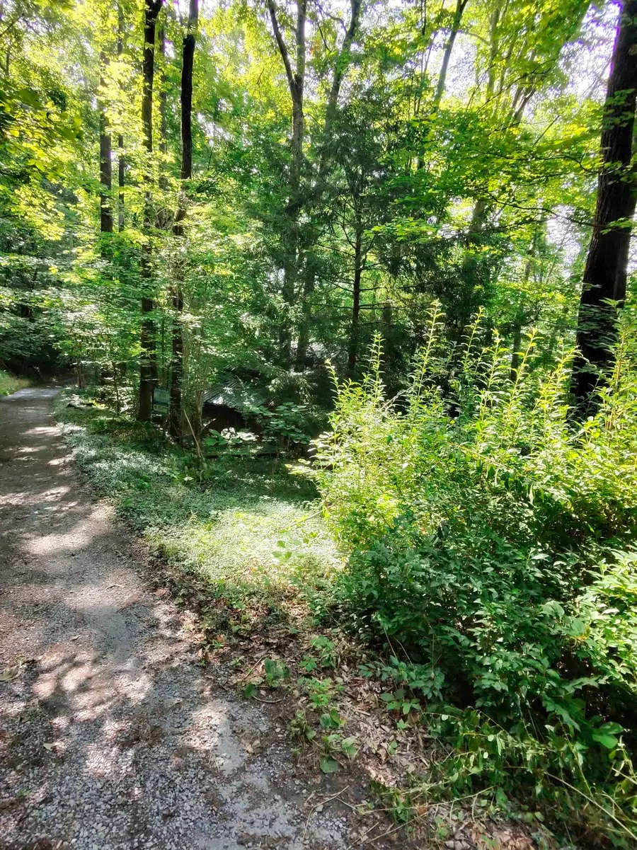 2450 Ponder Rd, Smithville, TN 37166 - #3
