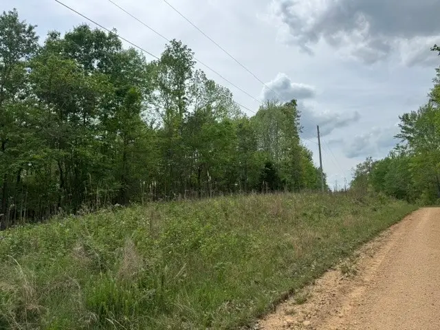 637 Hargis Rd, Bumpus Mills, TN 37028 - #2