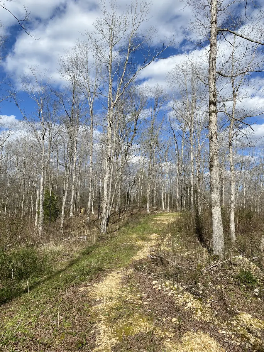 401 Napier Rd, Hohenwald, TN 38462 - #2
