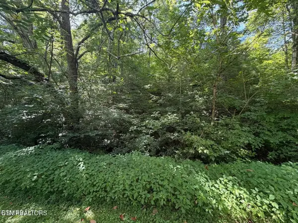 12 Smoky Mountain Way, Sevierville, TN 37876