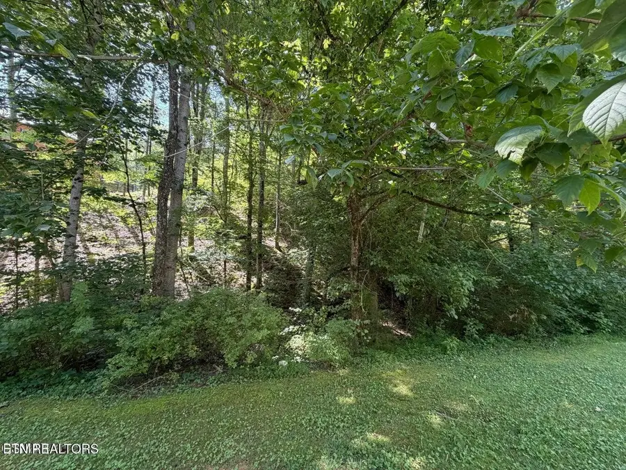 12 Smoky Mountain Way, Sevierville, TN 37876 - #2