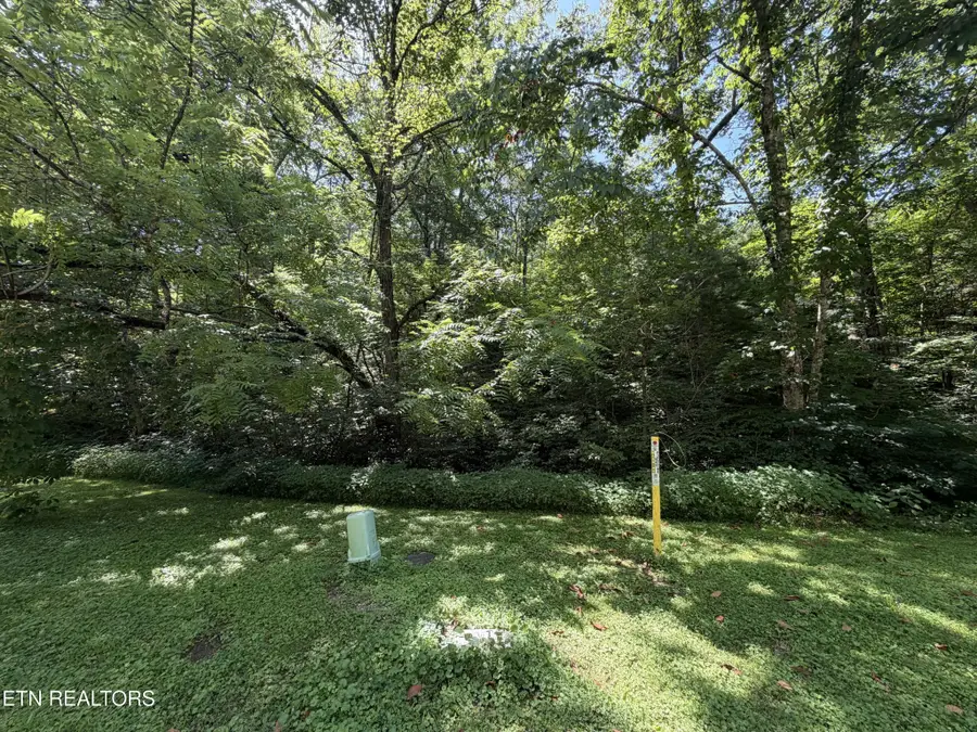 14 Smoky Mountain Way, Sevierville, TN 37876 - #2