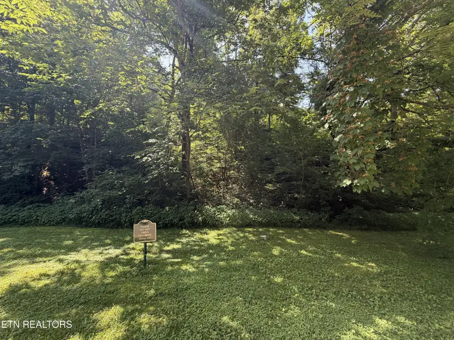 14 Smoky Mountain Way, Sevierville, TN 37876 - #3