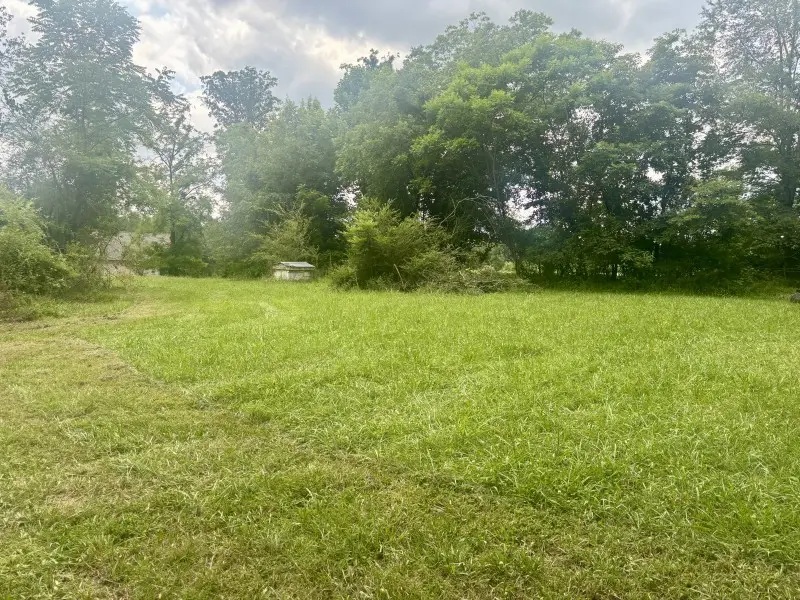 294 Haskell Winton Rd, Manchester, TN 37355 - #3