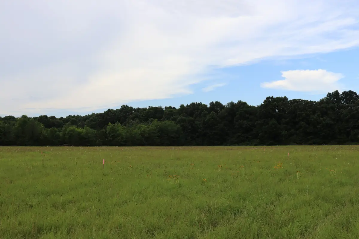 0 Laws Hill Road, Lewisburg, TN 37091 - #1