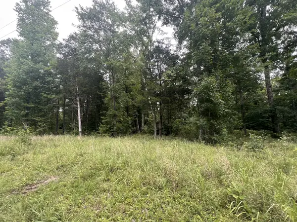 2 Toms Creek Lake Rd, Linden, TN 37096