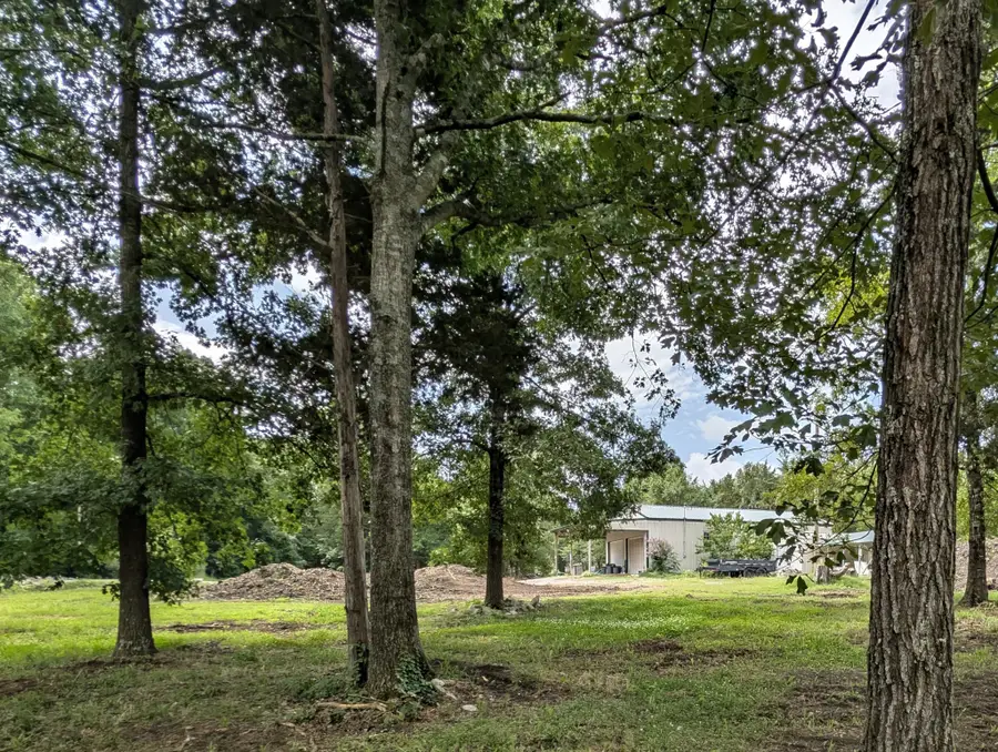 297 Rock Springs Midland Rd, Christiana, TN 37037 - #3