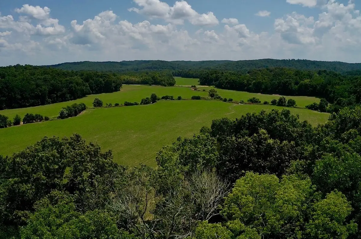 0 Old Furnace Rd, Decaturville, TN 38329 - #1