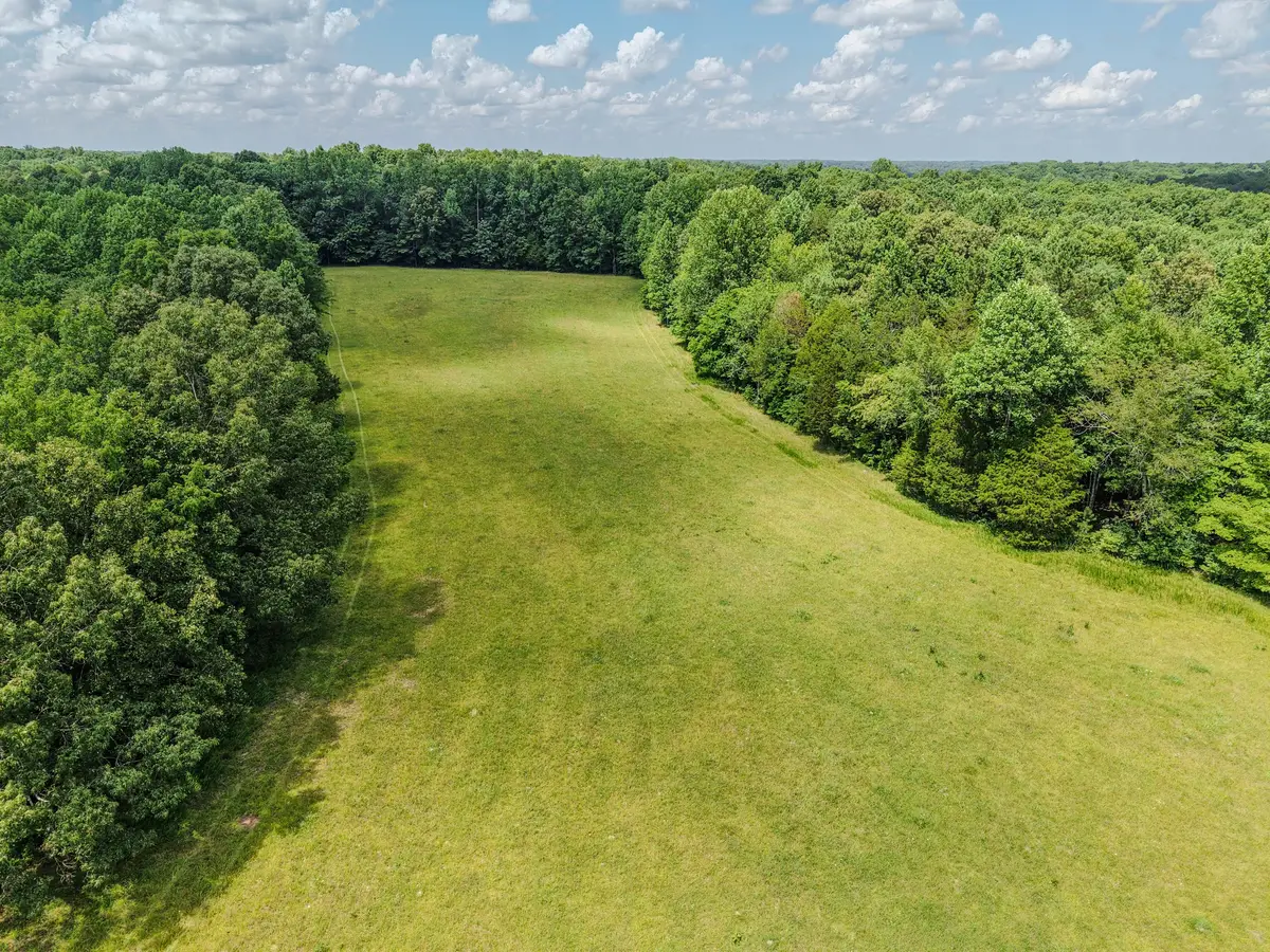215 Clear Creek Rd, Leoma, TN 38468 - #1