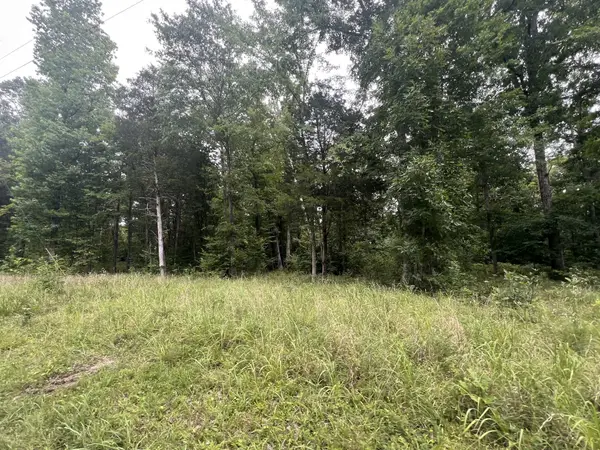 7 Toms Creek Lake Rd, Linden, TN 37096