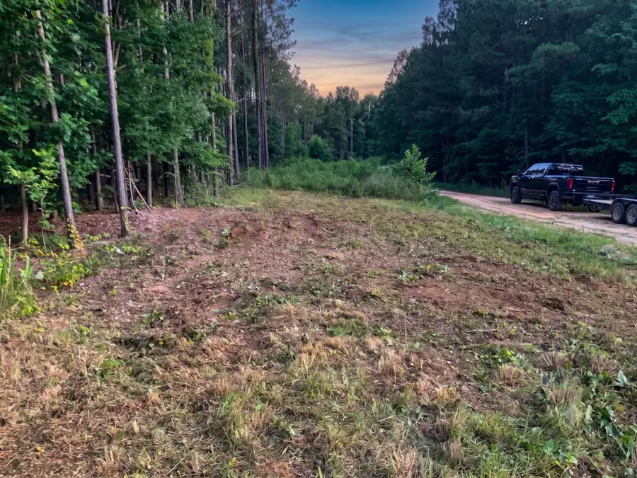 0 Adaleighs Way, Big Sandy, TN 38221 - #3