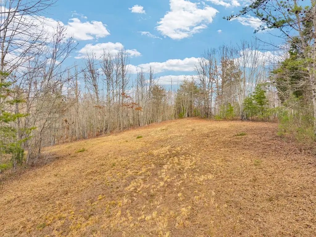 0 Soak Creek Lane, Grandview, TN 37337 - #1
