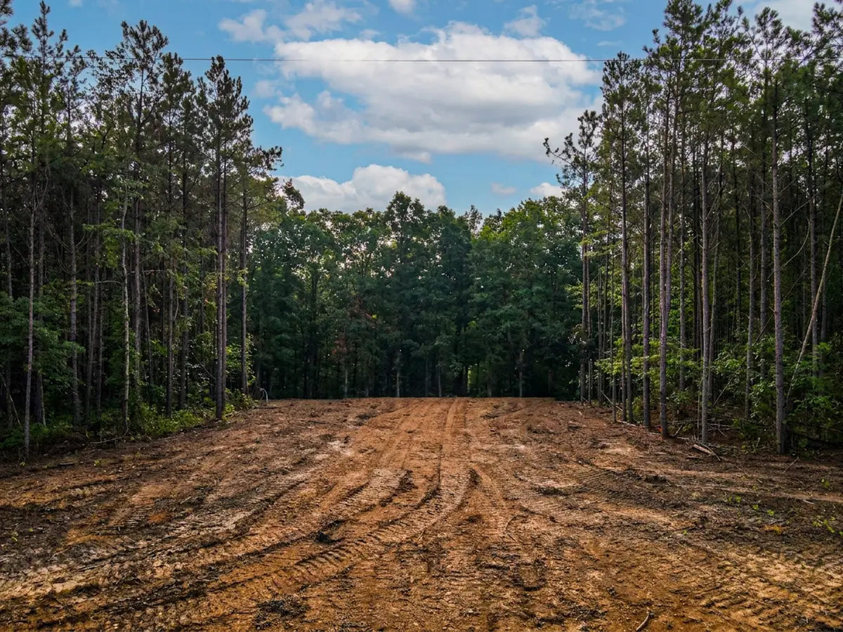 0 Brush Creek Rd, Hohenwald, TN 38462 - #1