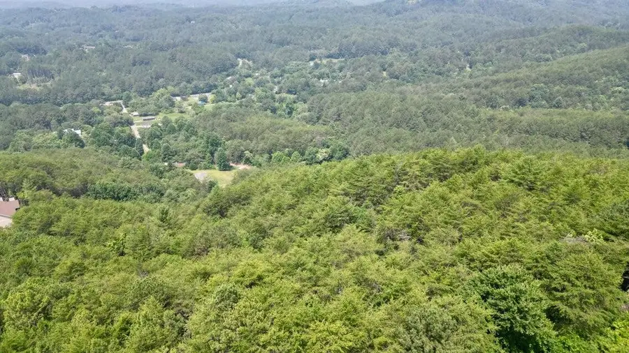 0 Little Mtn Road, Copperhill, TN 37317 - #3