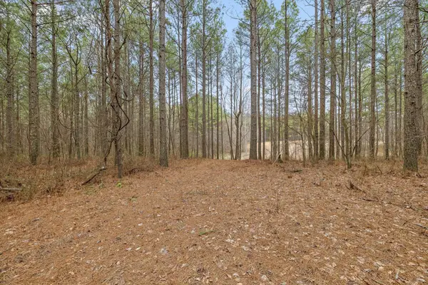 0 Melody Drive, Guild, TN 37340