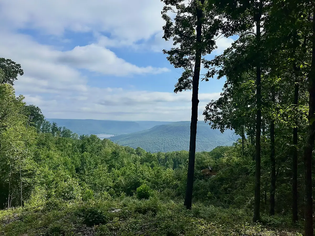 5370 River Bend Road, Guild, TN 37340 - #1