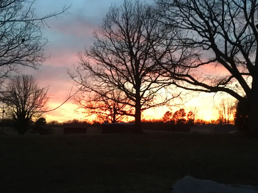 9372 Elk Ridge Rd, Mount Pleasant, TN 38474 - #3