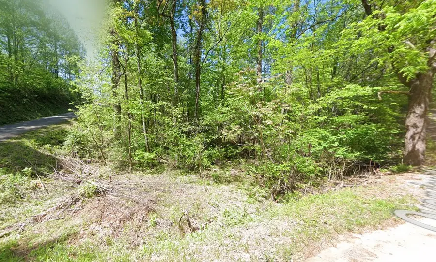 585 Overview Way, Newport, TN 37821 - #2
