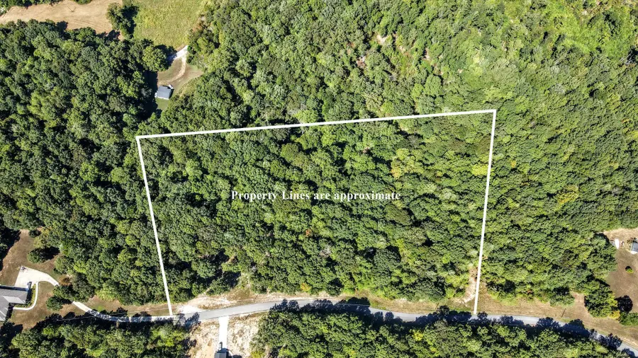 2770 Mayne Trace Rd, Waverly, TN 37185 - #2