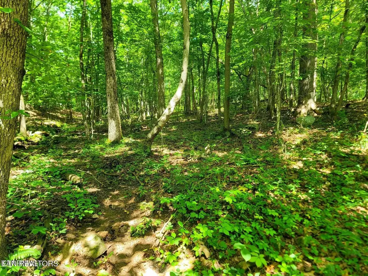 161 Sugarbush Circle, Crossville, TN 38558 - #1