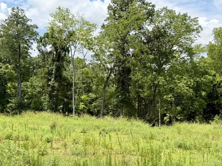 2054 Daniel Johnson Way, Clarksville, TN 37043 - #2