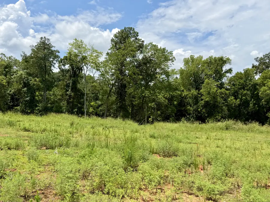 2054 Daniel Johnson Way, Clarksville, TN 37043 - #3