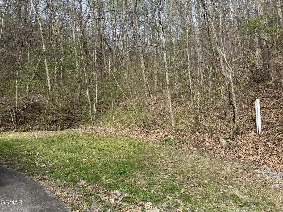 12 Whetstone Road, Sevierville, TN 37862 - #1