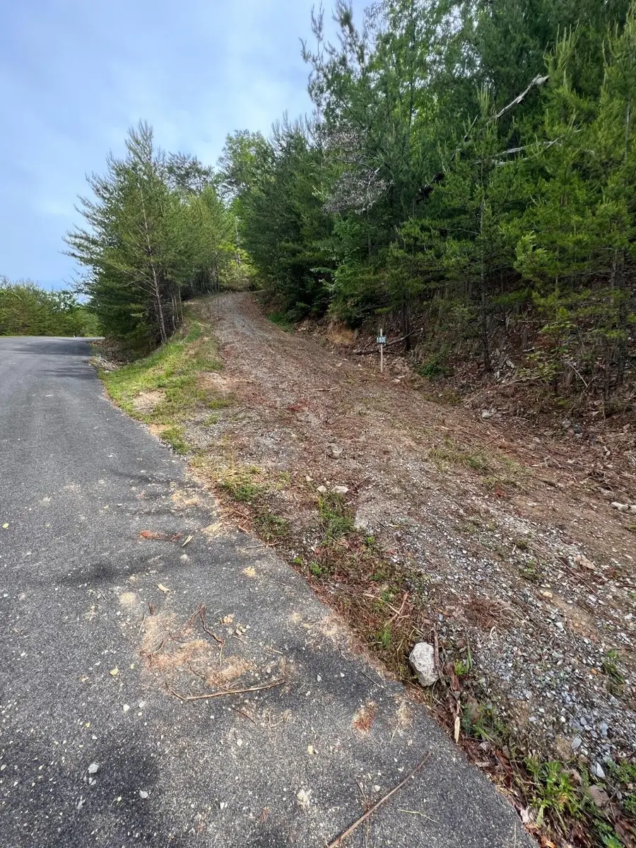 180 Jones Creek Lane, Sevierville, TN 37876 - #2