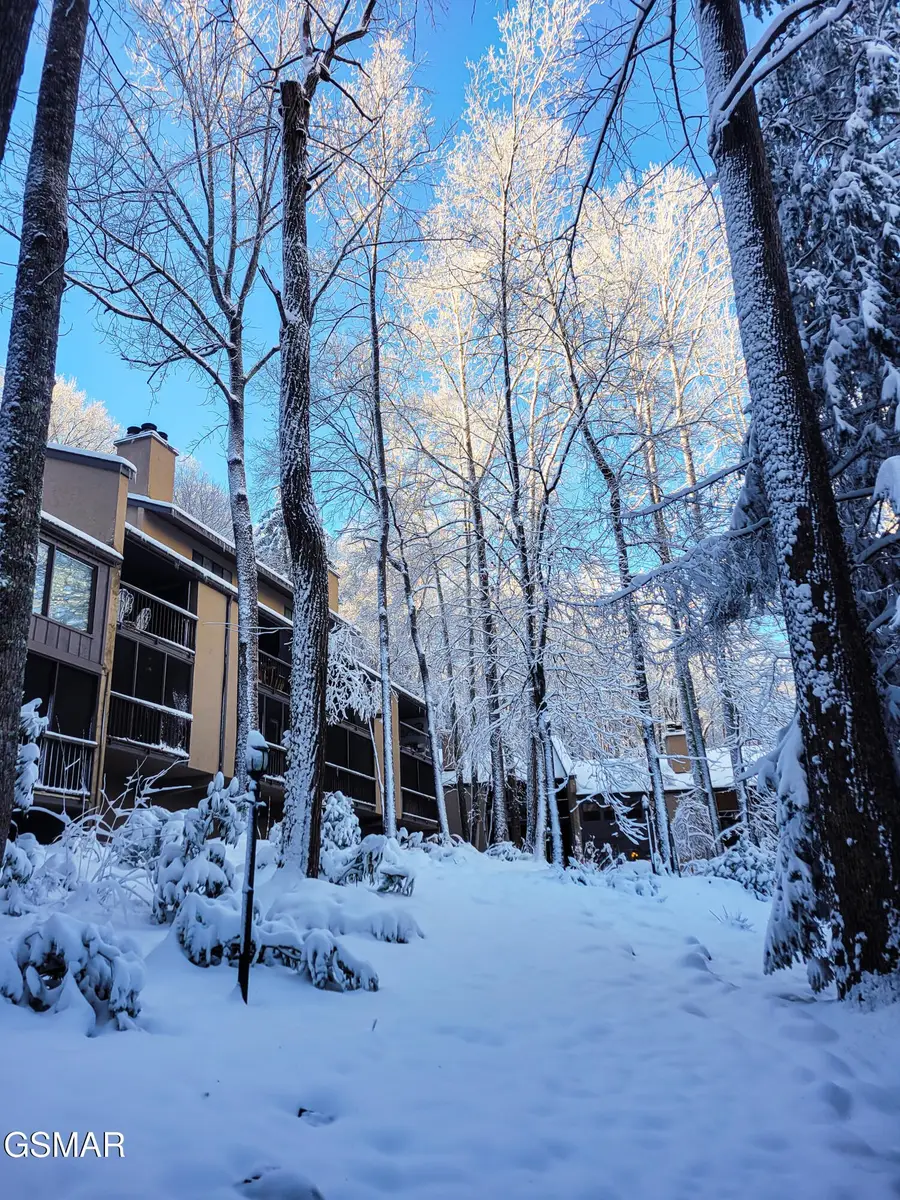 1235 Ski Mountain Road #610, Gatlinburg, TN 37738 - #2