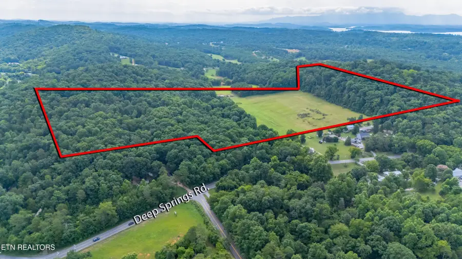 1246 Deep Springs Rd, Dandridge, TN 37725 - #2