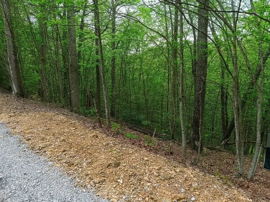273 Tennis Center Drive, Smithville, TN 37166 - #3