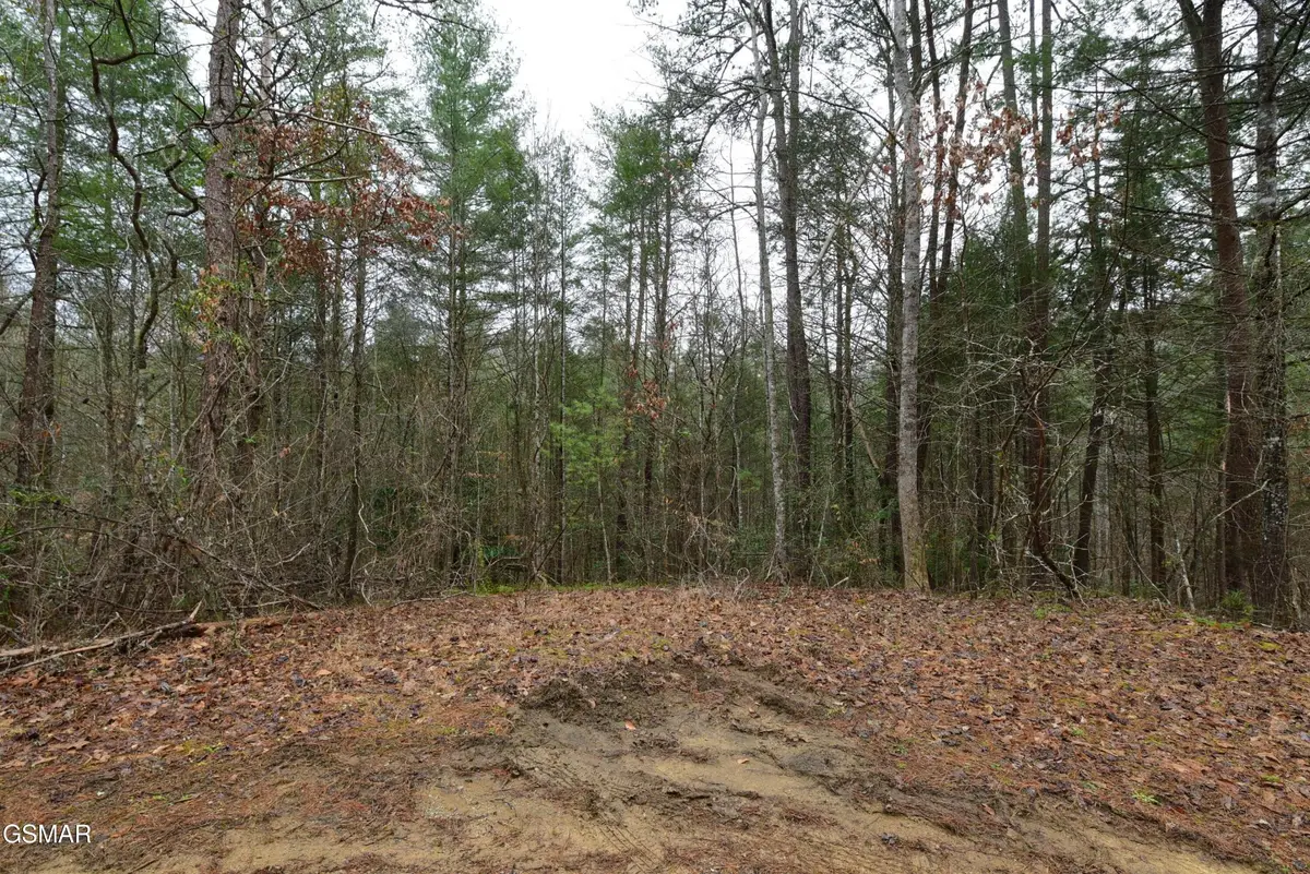 23 Alpine Ridge Way, Sevierville, TN 37876 - #1