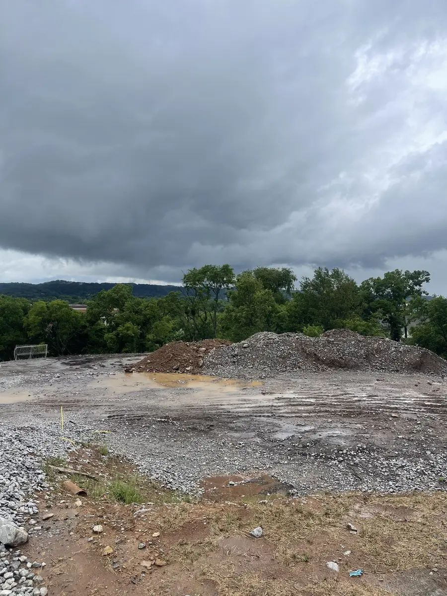 163 Berry Hunter Lane, Franklin, TN 37067 - #2