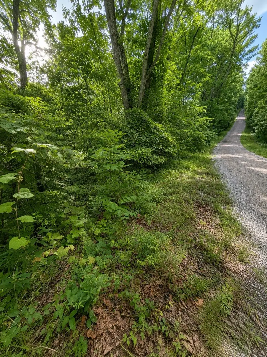 0 Skyline Dr, Smithville, TN 37166 - #3