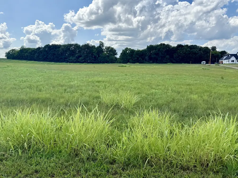165 Perdue Cemetery Rd, Portland, TN 37148 - #2