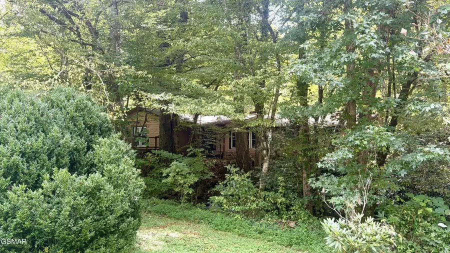 4413 E Scenic Drive, Gatlinburg, TN 37738 - #2
