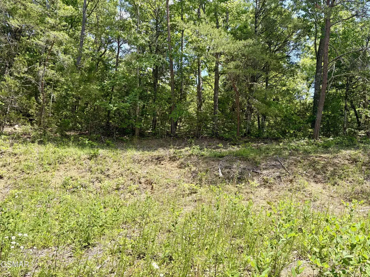 7 Burchfiel Way, Sevierville, TN 37876 - #1