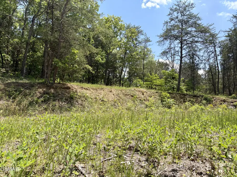 7 Burchfiel Way, Sevierville, TN 37876 - #2