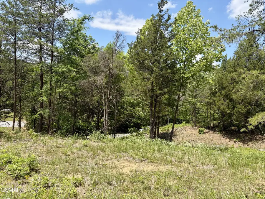 7 Burchfiel Way, Sevierville, TN 37876 - #3