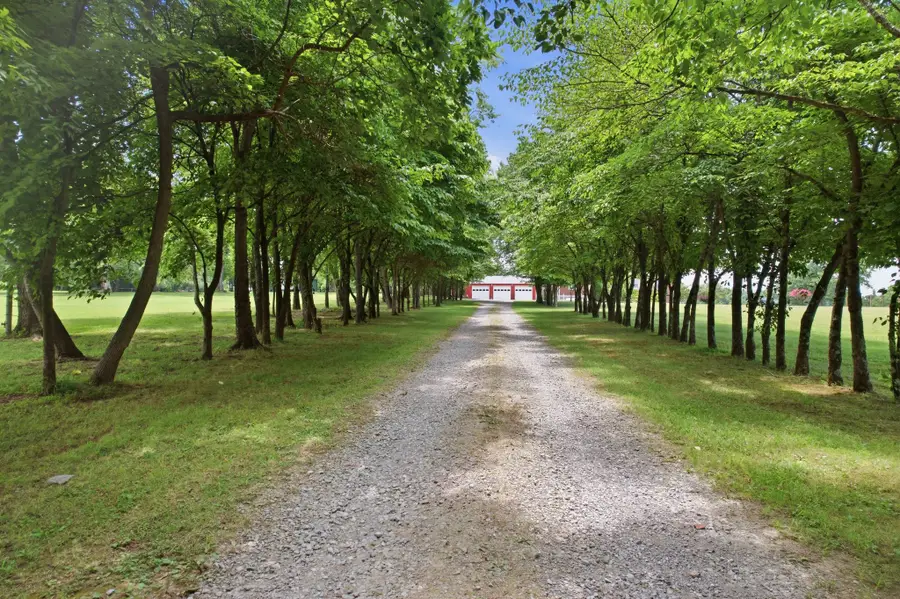 113 E Robertson Rd, Castalian Springs, TN 37031 - #3