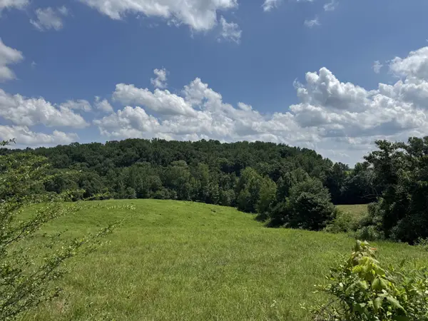 0 Potts Camp Rd, Smithville, TN 37166